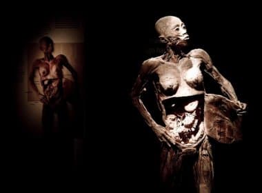 Salvador terá viagem realista na anatomia humana com mostra ‘Fantástico Corpo Humano’ 