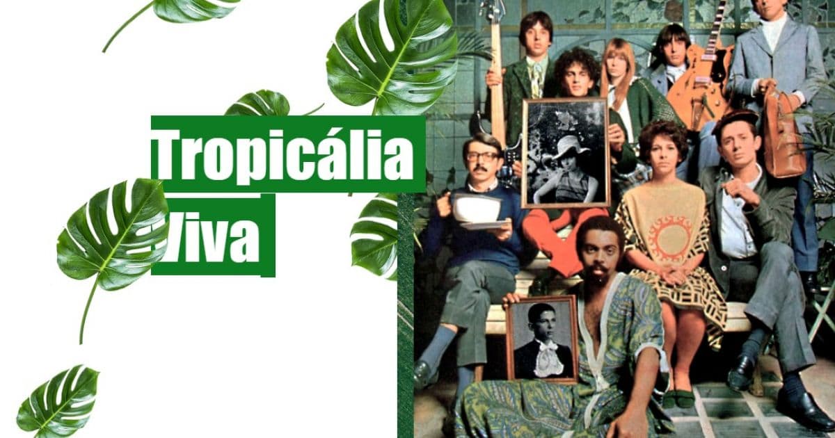 Pesquisador lança site sobre Tropicalismo com área de estudo gratuita