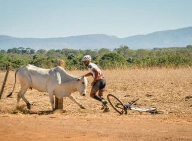 Vaca ataca ciclistas e volta para destruir bicicleta de competidor no Tocantins