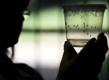 Combate ao Aedes aegypti mobilizou número recorde de militares em 2016
