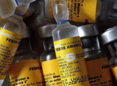 Após morte de macacos, Campinas decide vacinar população contra febre amarela