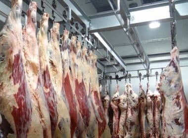 Governo informa que Egito e Chile decidiram normalizar importações de carne