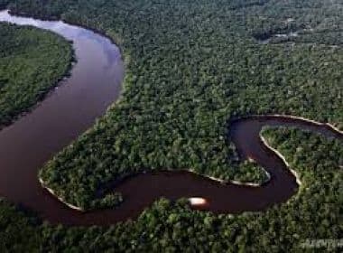 Após decisão da Noruega, Alemanha deve cortar verba para Amazônia