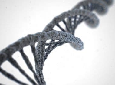 Aspectos éticos da correção de DNA precisam ser considerados, dizem especialistas
