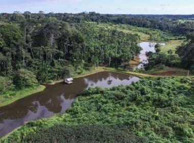 Desmatamento na Amazônia cai 21% em um ano, mas segue em mais de 2,8 km²