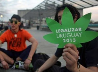 Uruguai aprova legalização da maconha