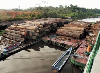 Madeireiras fraudam exportação da Amazônia, diz Greenpeace