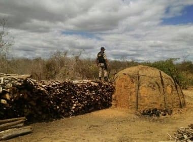Ação elimina serrarias clandestinas em Itaetê e Andaraí
