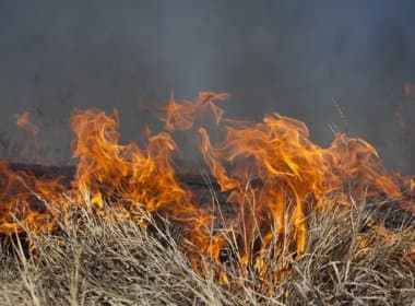 Teixeira de Freitas: MP-BA lança campanha de combate a incêndio em fazendas