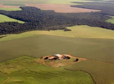 Grilagem no Oeste: Juiz ordena reintegração de posse de 340 mil hectares a donos de terras