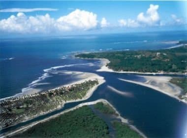 Justiça Federal rejeita ação do MPF contra ADPK por desmatamento de Mata Atlântica