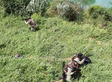 Polícia usa drone e descobre plantação com 200 mil pés de maconha em Curaçá e Abaré