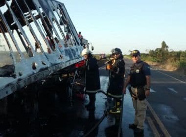 Teixeira: Carreta pega fogo após tanque de combustível vazar; fato ocorreu na BR-101