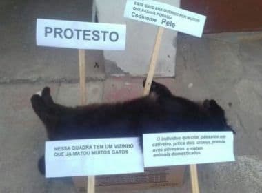 Conquista: Moradores protestam contra envenenamento de gatos 