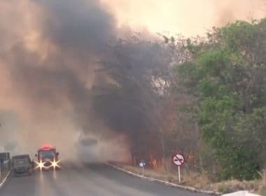 Incêndio em Barreiras já consumiu 50 hectares; fogo interrompeu fornecimento de internet
