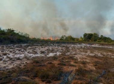 Incêndio atinge 4,5 km de extensão de vegetação em Maraú