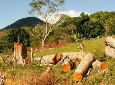Sudoeste: Morador culpa falta de gestão por desmatamento em reserva de turismo rural