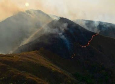 Chapada: Incêndio atinge 15 mil hectares e ameaça biodiversidade