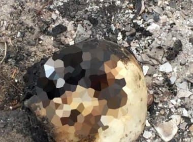 Feira: Crânio humano é achado em terreno baldio