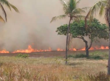 Rio de Contas: Incêndio em parque natural é extinto, declara Corpo de Bombeiros