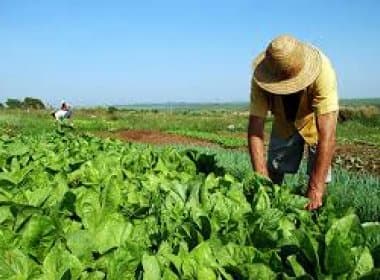 TCU suspende seleção de beneficiários de reforma agrária em todo país