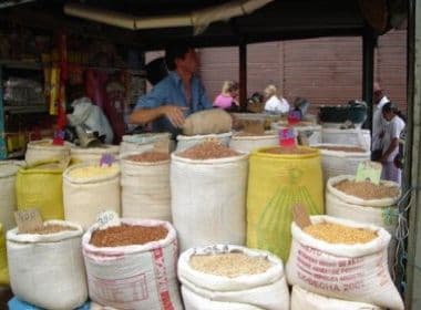 Seca: Quase 100% das safras de milho e feijão já foram perdidas na Bahia