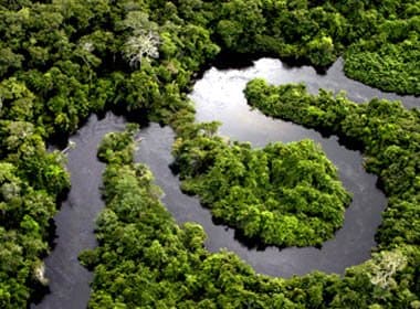 Desmatamento na Amazônia diminui 77%
