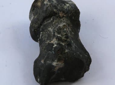 Fósseis de preguiça gigante são encontrados em Itatim