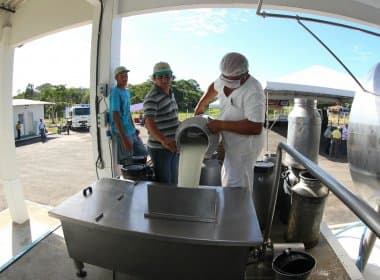 Usina de beneficiamento vai processar 10 mil litros de leite por ano na Bahia