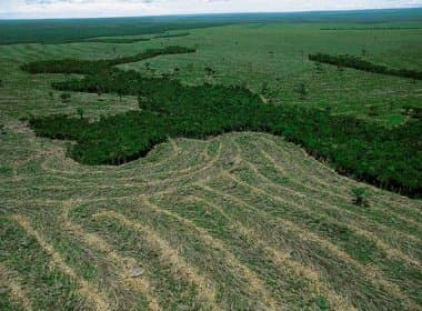 Desmatamento da Amazônia aumentou 28% em 12 meses