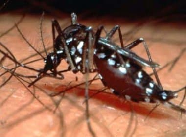  Pesquisa da USP desenvolve aparelho que detecta dengue em 20 minutos