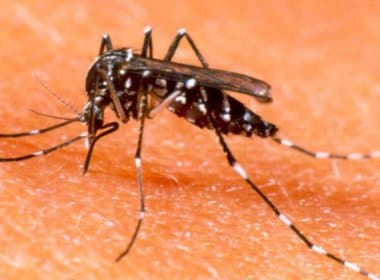 Número de casos de dengue pode ser 10 vezes maior do que o registrado