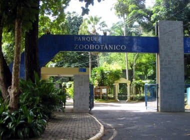 Ordenamento de ambulantes do entorno do Zoológico começa no sábado