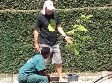 Grupo faz ação para plantar árvores no Itaigara