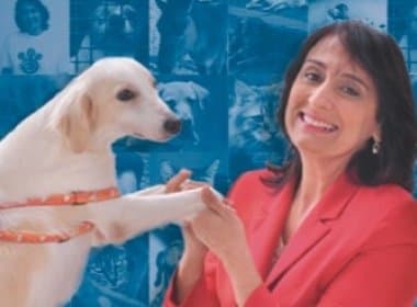 Duelo de cão: defensores usam animais em programa eleitoral e prometem ‘rinha’ caso eleitos