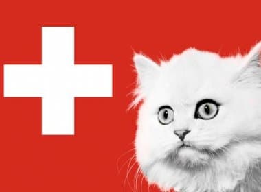 Comem cães e gatos: organização quer criminalizar consumo de animais domésticos na Suíça