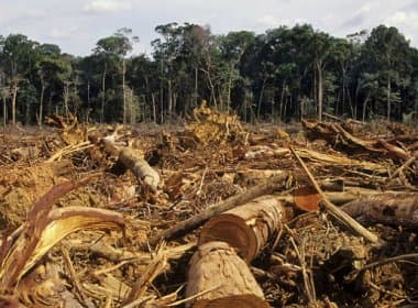 Governo corta 72% dos recursos de combate ao desmatamento, diz jornal 