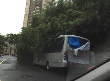 Com chuvas, galhos de árvore caem sobre ônibus no Loteamento Aquárius