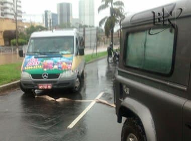 Veículos ilhados na Avenida Paralela foram resgatados por jipeiros