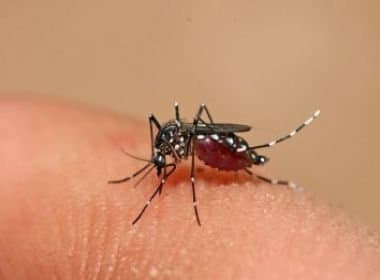 Brasil registra 2.552 casos da febre chikungunya neste ano