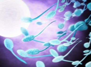 Experimento genético faz ovários produzirem espermatozoides