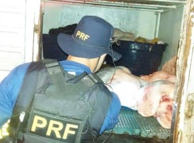 Jequié: Cerca de 500 kg de carne são apreendidos pela PRF