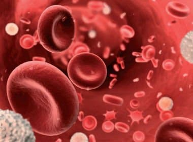 Retorno do câncer em pacientes tratados pode ser detectado com novo exame de sangue