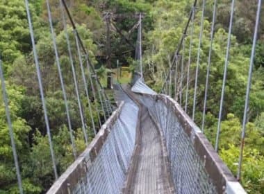 Grupo sobrevive a queda de 8 metros após ponte romper na Nova Zelândia; veja vídeo