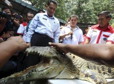 Indonésia vai construir presídio rodeado por tigres, piranhas e crocodilos