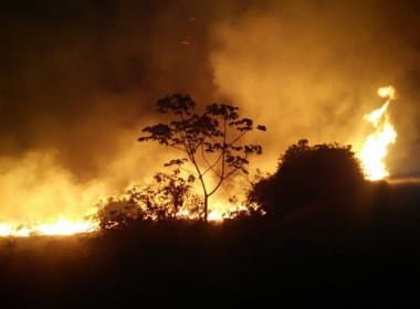 Combate a incêndio na Chapada Diamantina já conta com dez aeronaves, diz secretário