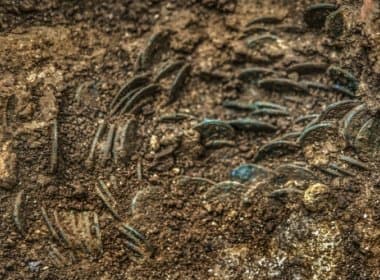 Fazendeiro encontra quatro mil moedas datadas do século III em campo de cerejeiras