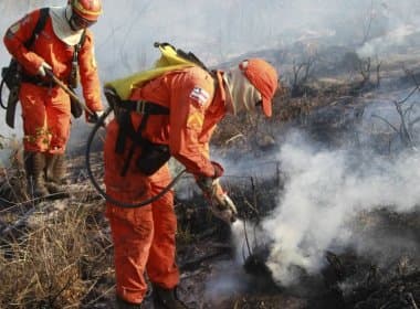 Novo foco de incêndio é identificado na região da Chapada Diamantina