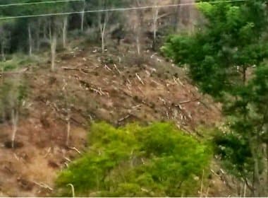 MP ajuíza ação contra dono de fazenda que devastou área da Mata Atlântica em Itagi