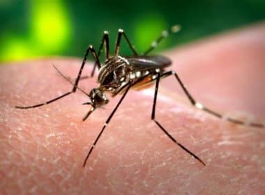 Centro de Zoonoses capacita fiscais do Crea-BA a combater Aedes aegypti